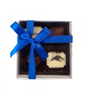 Belgian Chocolate White Gift Box with Clear Lid and filled with with 2 X Printed and 2 X Flavoured Chocolate 