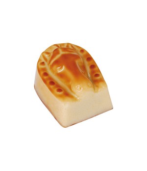 Horse Face- White Marble Chocolate with Hazelnut Praline